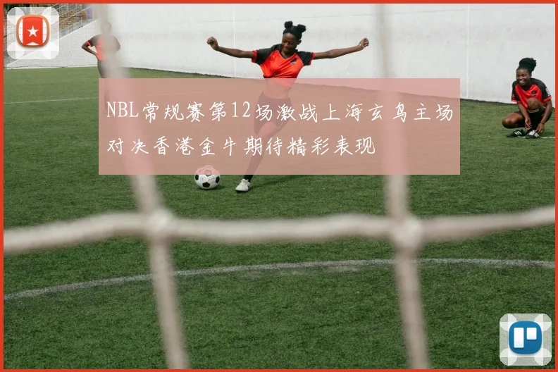 NBL常规赛第12场激战上海玄鸟主场对决香港金牛期待精彩表现