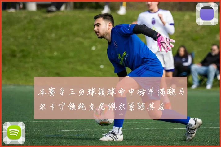 本赛季三分球接球命中榜单揭晓马尔卡宁领跑克尼佩尔紧随其后
