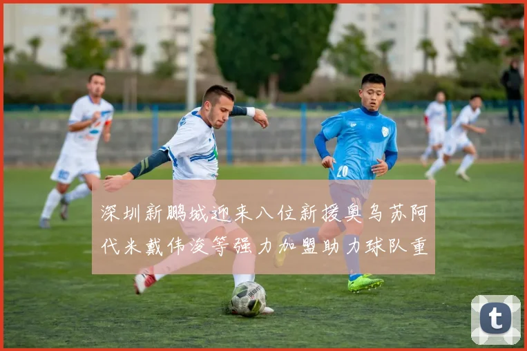 深圳新鹏城迎来八位新援奥乌苏阿代米戴伟浚等强力加盟助力球队重塑辉煌