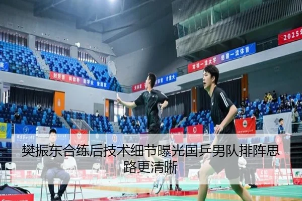 樊振东合练后技术细节曝光国乒男队排阵思路更清晰